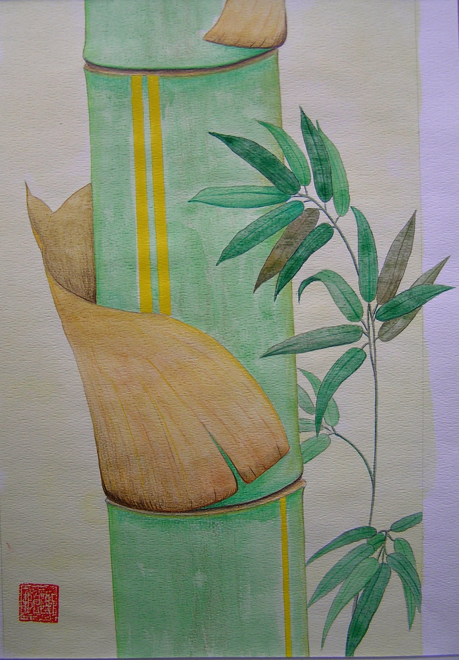Bambu VII