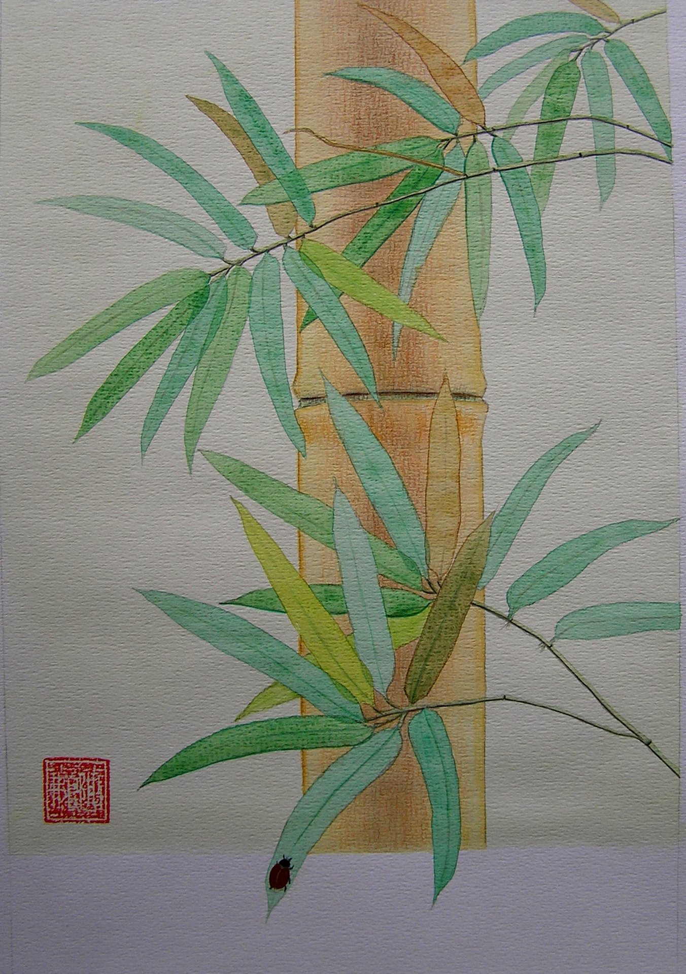 Bambu XIII.