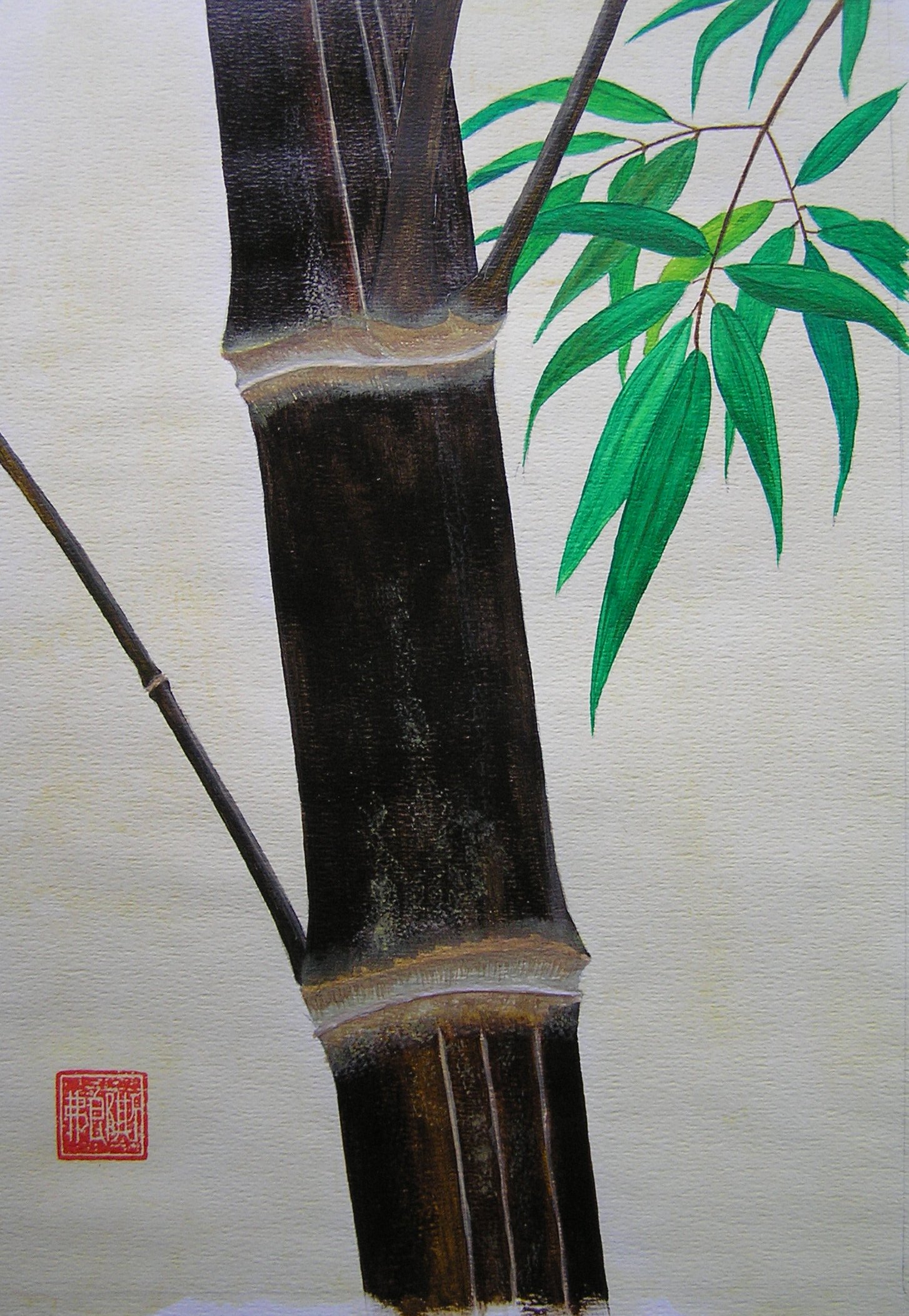 Bambu IX.