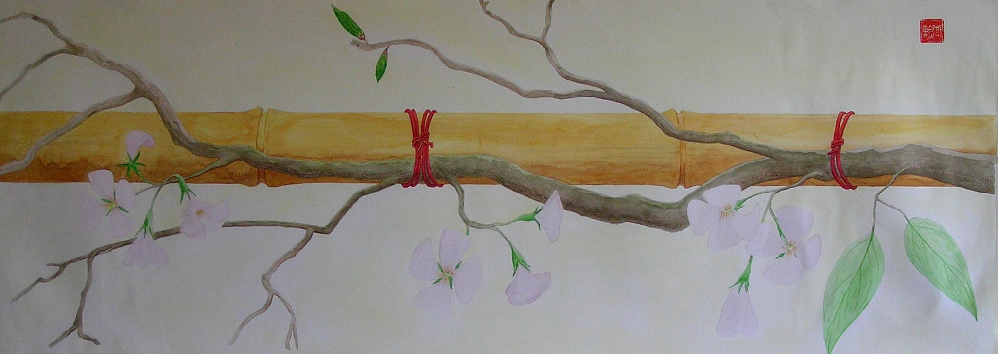 Blossom.