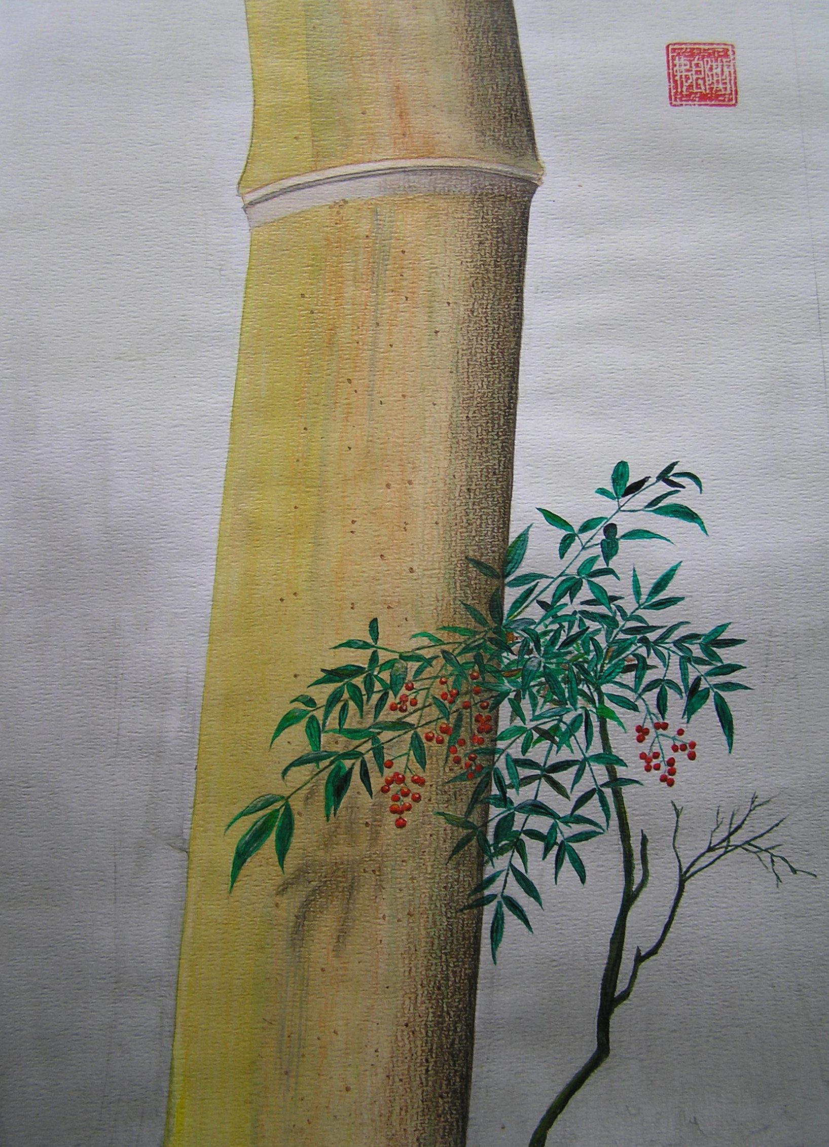 Bambu XVIII.