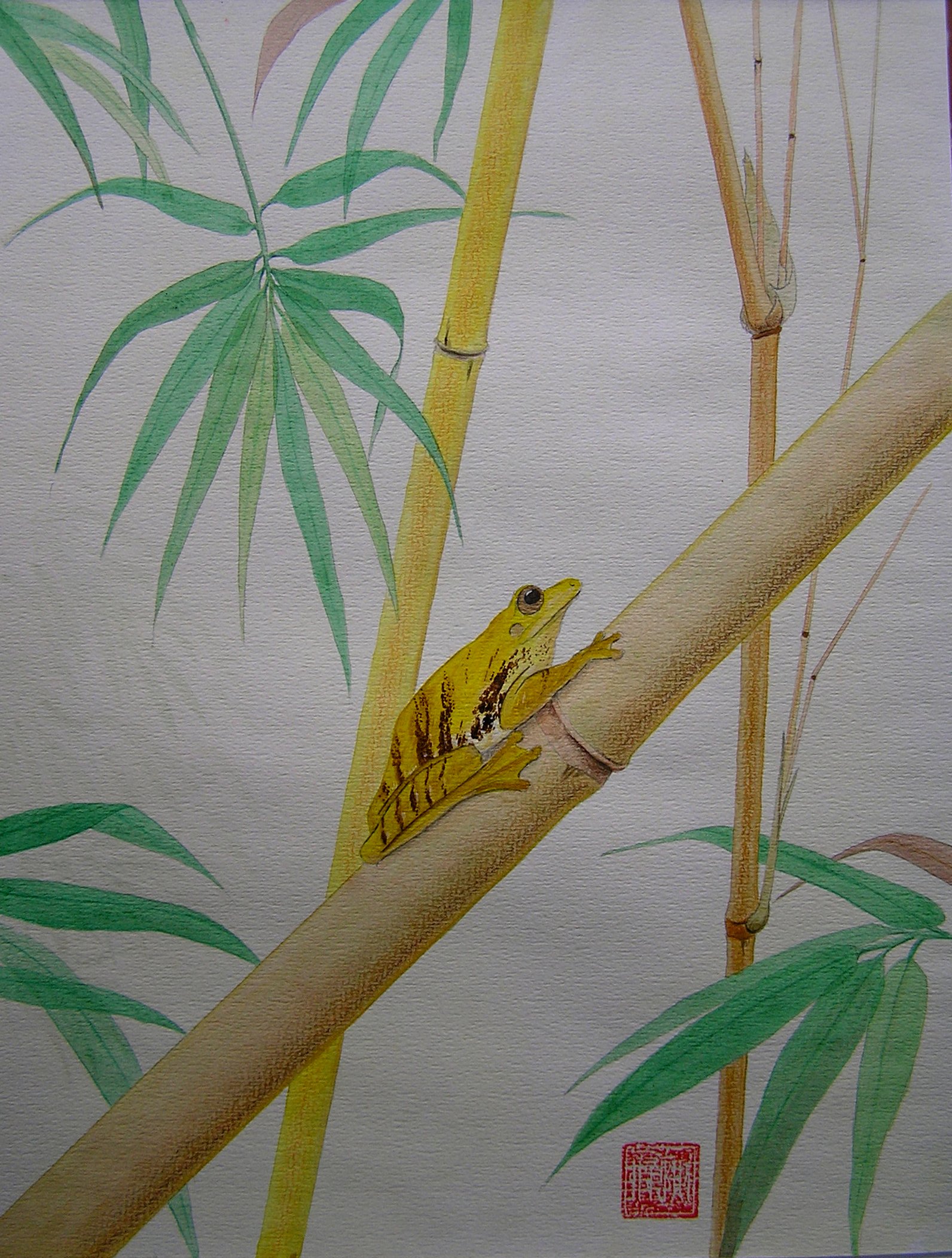 Treefrog II.