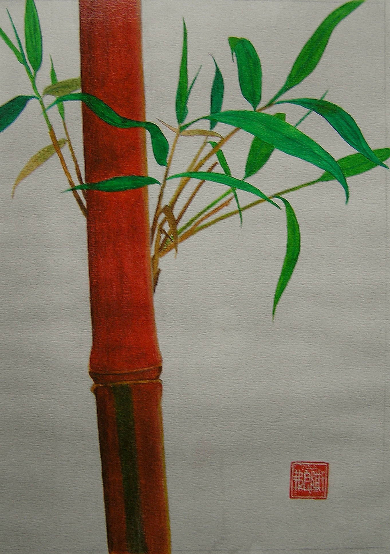 Bambu X.