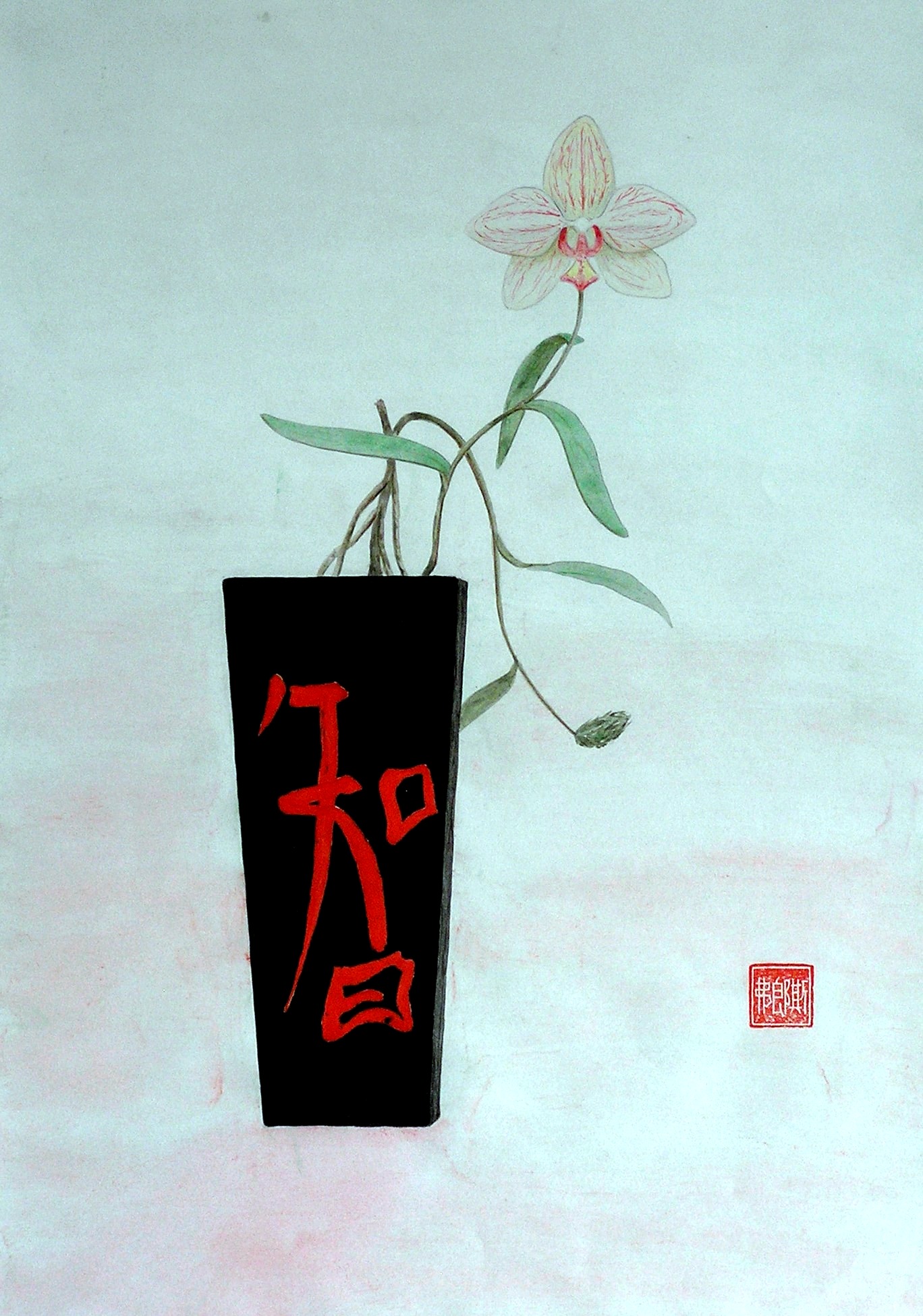 Orchid.