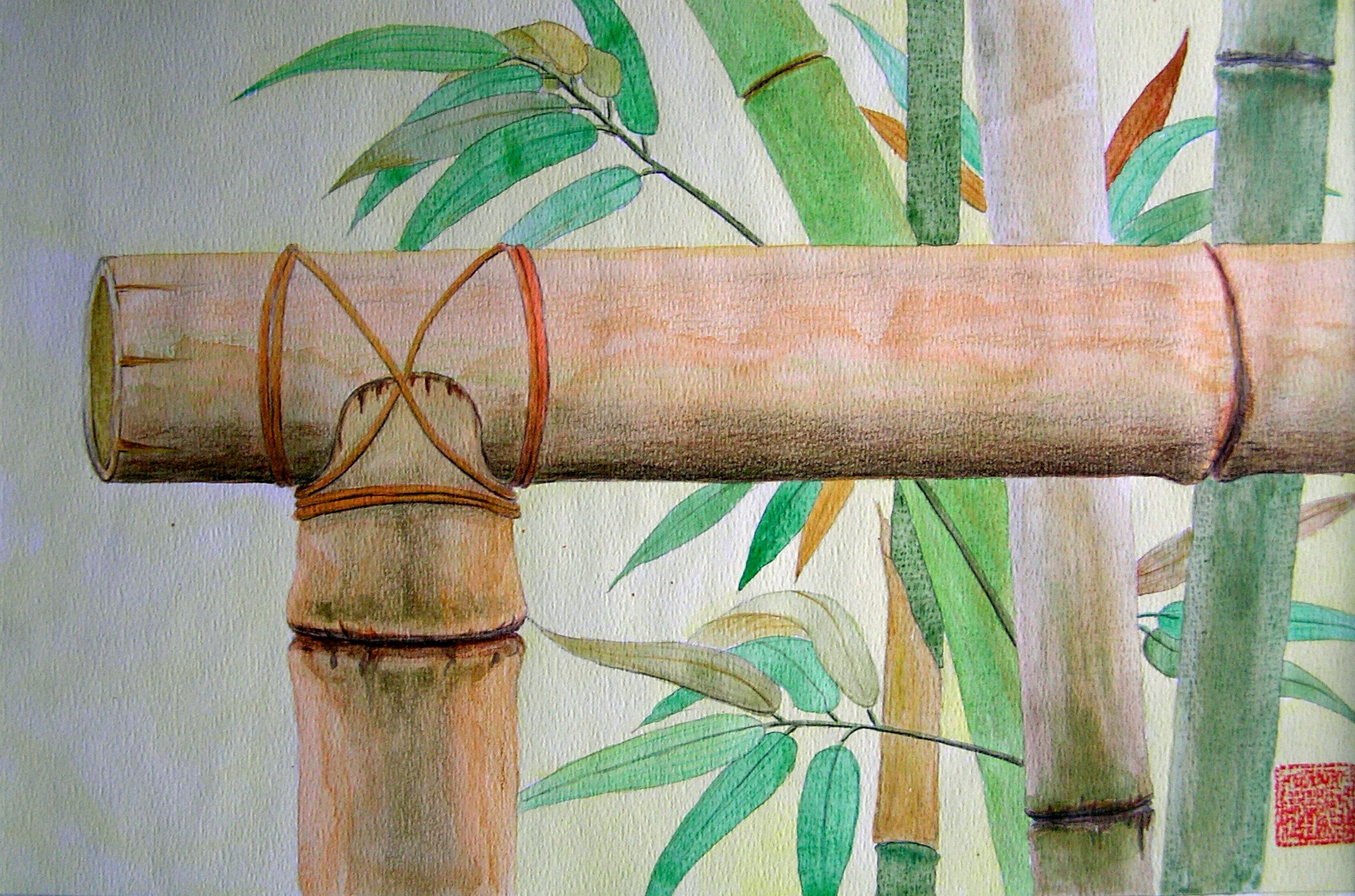 Bambu fence