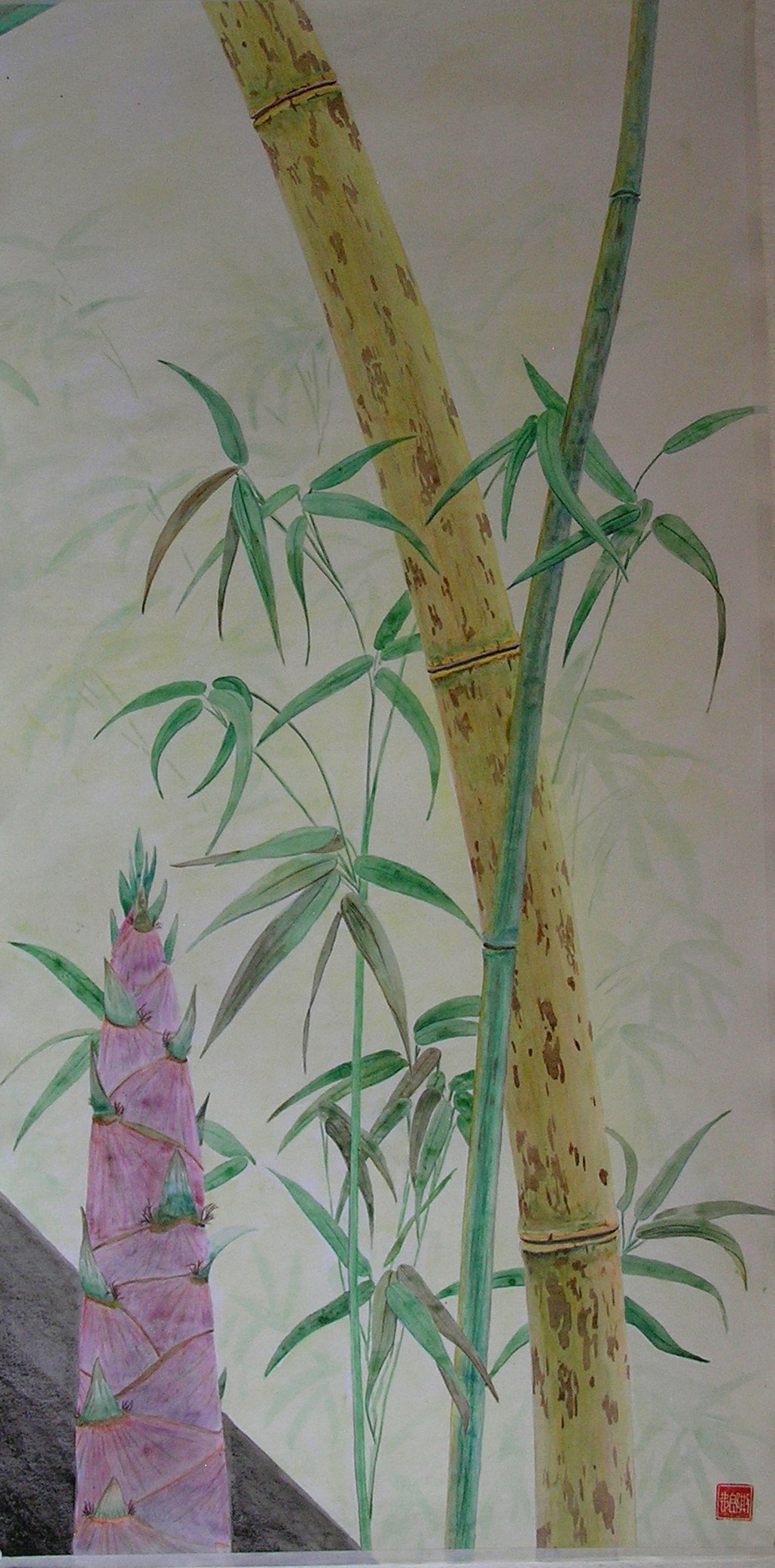 Bamboo 3.