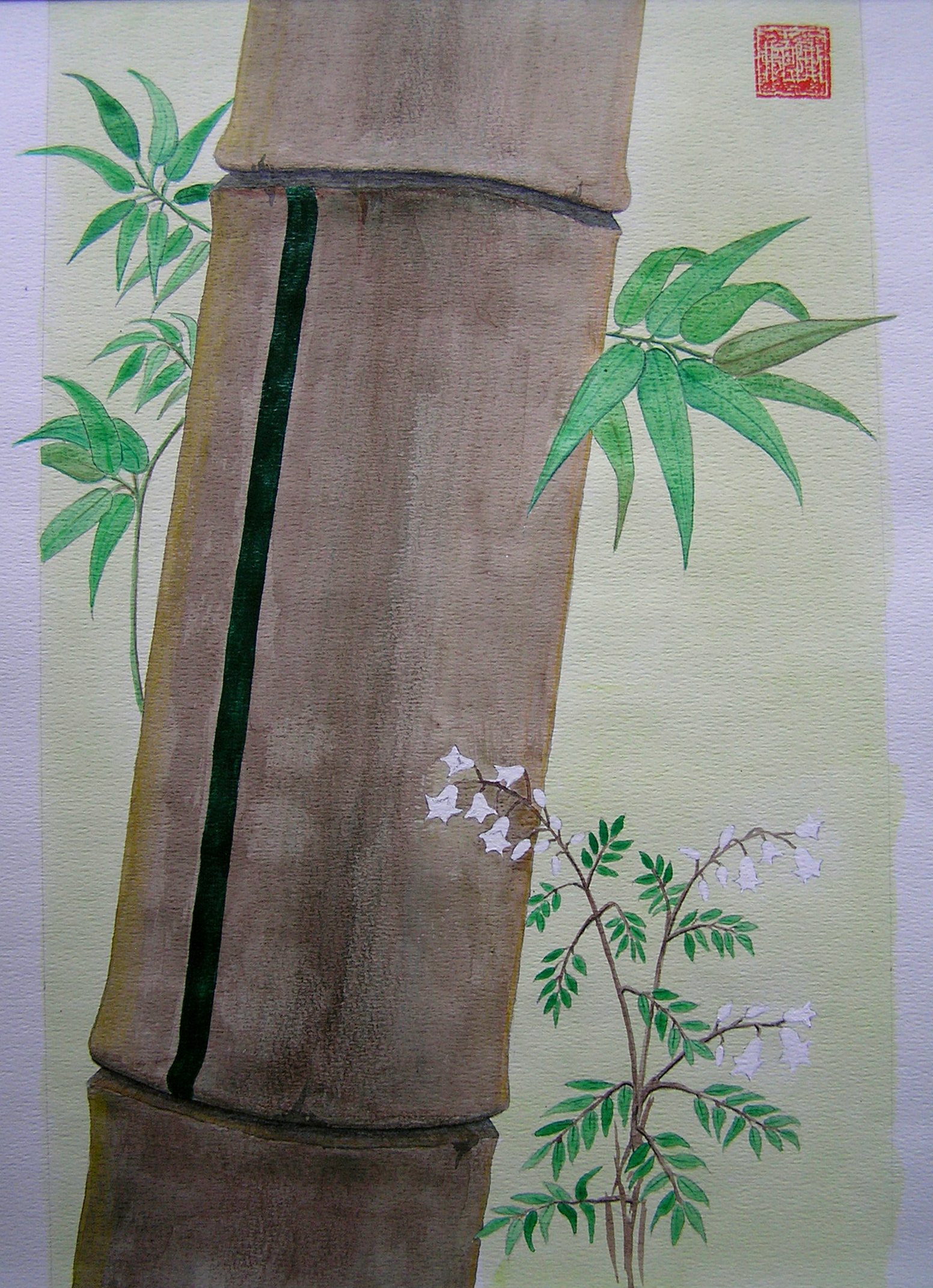 Bambu XII.