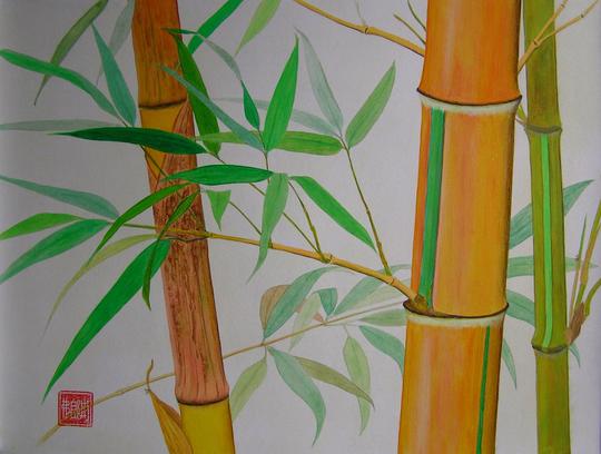 Bambu XVI.