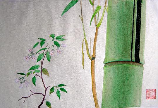 Bambu VIII.
